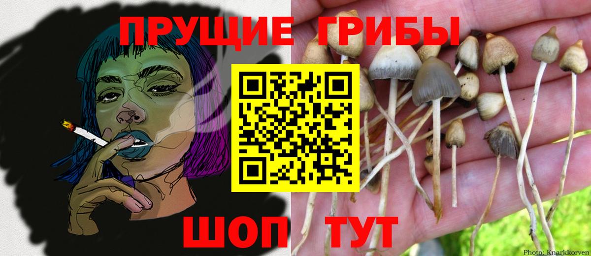 Галлюциногенные грибы прущие грибы Пыть-Ях