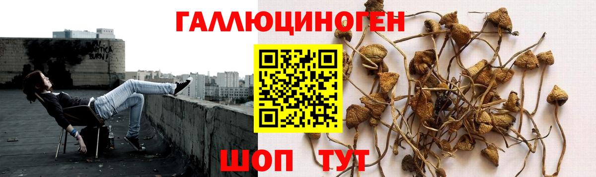 Пыть-Ях  Галлюциногенные грибы мухоморы  Псилоцибиновые грибы Magic Shrooms  Вход с VPN 